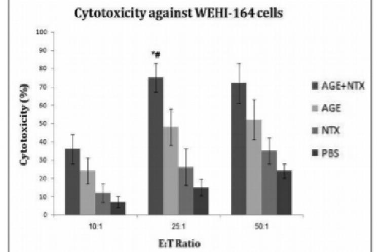 Percentage of cytotoxicity of splenocytes against WEHI-164 cell