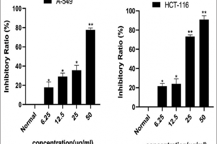 The effect of AMH-L on tumor cells in vitro. (a) Inhibition of A-549 cells; (b) Inhibition of HCT-116 cells *versus control(DMSO), *P < 0.05,**P<0.01