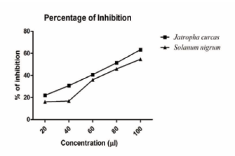 DPPH assay result for the percentage of inhibition of the latex of  Jatropha curcas and the leaf extract of Solanum nigrum