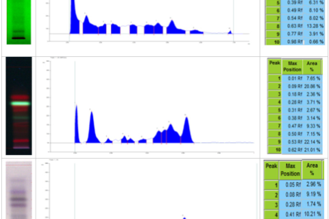 TLC fingerprint profile at 254 nm, 366 nm and 520 nm and peak area.