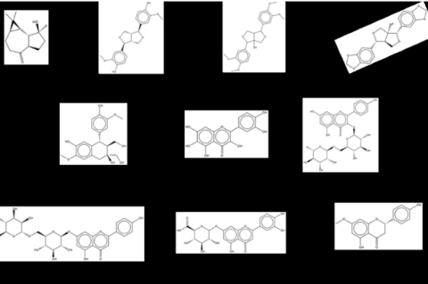 Structures of phytoconstituents from Gmnelia asiatica.