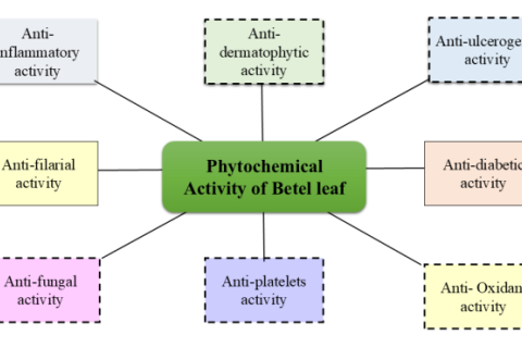 Phytochemical Activity of betle leaf