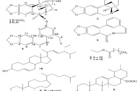 Compounds isolated from Crinum augustum
