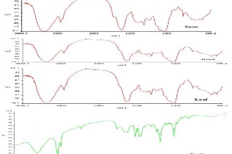 Comparison of FTIR spectra of different parts of Piper sarmentosum in mid-IR range (4000- 400 cm-1)
