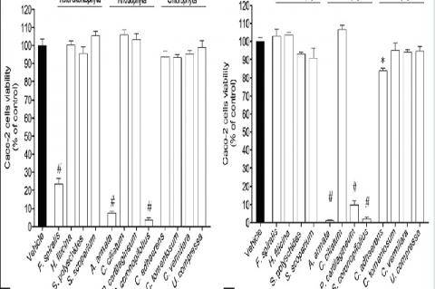 The effects induced on Caco‑2 cell’s proliferation by methanolic (a) and dichloromethane (b) extracts of algae (1 mg/mL) (% of control) with highest activity (>50%) after 12 h, 24 h, and 48 h obtained by 3‑[4, 5‑dimethylthiazol‑2‑yl]‑2, 5‑diphenyl tetrazolium bromide method. Each column represents the mean of eight experiments per group; vertical lines show standard error of the mean. #P < 0.01 compared with control