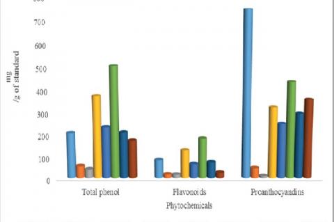 Polyphenolic contents of the Bulbine abyssinica fractions