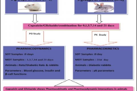 Effect of Capsaicin on Pharmacodynamic and pharmacokinetics of Gliclazide in Animal models with Diabetes