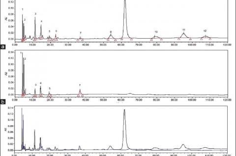 Chromatographic Profiles, Anti‑inflammatory, and Cytotoxicity Potential of Extracts of Banisteriopsis pubipetala (A. Juss)