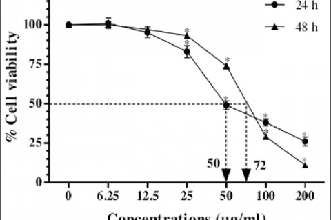Cytotoxicity activity of Bael leaf extract at various concentrations (0–200 μg/mL) in human hepatocellular carcinoma cells for 24 h and 48 h of incubation. All results are presented as mean ± standard error of the mean of triplicate determinations