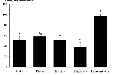  3-Hydroxy-3-methylglutaryl-coenzyme A reductase inhibition of triphala extracts