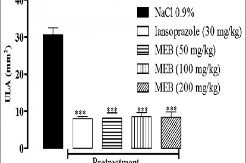 Effect of the oral pretreatment of methanolic extract of branches of Spondias tuberosa gastric lesions induced by ethanol in mice