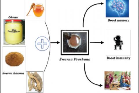 Immunological, Biochemical, and Infant‑Toddler Quality of Life Parameter‑Based Study of Swarna Prashana (a Herbo‑Mineral Ayurveda Preparation) in Infants
