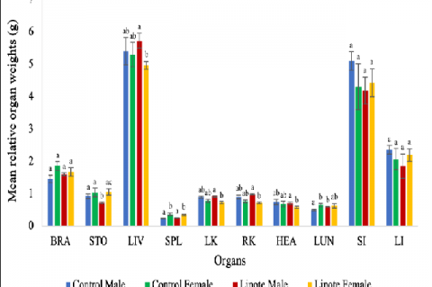 Mean relative organ weights (g) of male and female ICR mice given with distilled water and 2000 mg/kg BW dose of reconstituted freeze-dried lipote (Syzygium polycephaloides (C. B. Rob.) Merr.) fruits