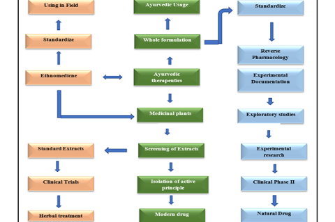 Pathway to research and development of natural products.
