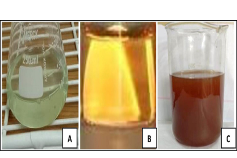 Synthesis of silver nanoparticles.