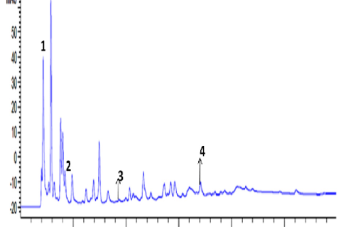 HPLC chromatogram of CA root (RT) showing 1-Gallic acid (Rt= 4.296), 2-2,4-dihydroxybenzoic acid (Rt= 8.101), 3- p –Cresol (Rt= 18.885), 4- Quercetin (Rt= 34.158).