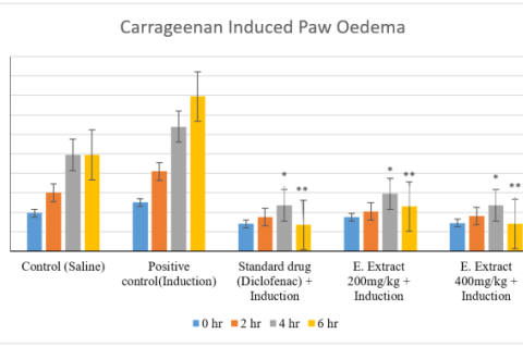 Graphical representation of effect of ethanolic extract (doses 200 and 400 mg/kg) of O. dehradunensis carrageenan induced hind paw oedema. Diclofenac sodium (10 mg/kg) was used as a standard drug. All values are expdressed as mean ± SEM.