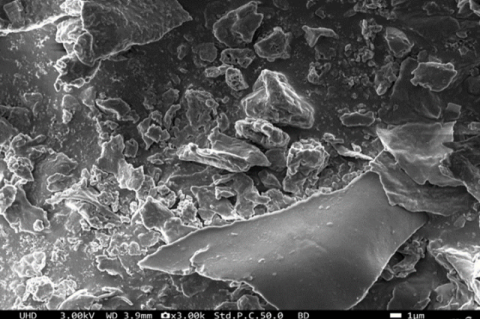 SEM analysis of TQ-ZnNPs revealed crystal-like structure morphology.