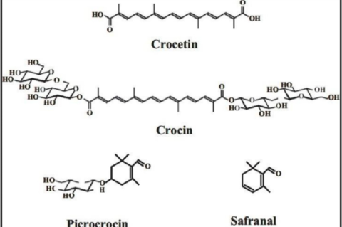 Structures of the chemical constituents
