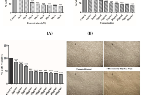 Cell Viability Assay by using the MTT for MDA-MB 231 (A) Graphs represents IC50 (30 μm) for 5-FU on MDA-MB- 231 (B) Graph represents IC50 (15 μg/mL) for CDM on MDA-MB-231 (C) Graphical presentation of estimation of IC50 (10 μg/mL) for CDE on MDA-MB-231 respectively at various concentrations. ***p<0.05 as compared to control and (D) Morphological changes by CDM and CDE on MDA-MB-231 cells at IC50 doses vs control