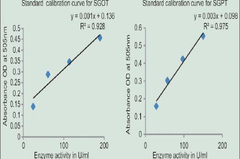Standard calibration curve for serum glutamic oxaloacetic transaminase and serum glutamic pyruvic transaminase