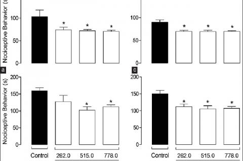 Orofacial antinociceptive effect of ILEX. (a and b) Represent the acute experiment where animals were treated with doses of 262.0–778.0 mg/kg of infusion, p.o. (c and d) Represent the chronic experiment, in which mice received the same doses, twice a day, for 15 days. In both cases, 1 h after last treatment, 20 μl of formalin 2.5% was injected into the right upper lip, and the evaluation of nociceptive behavior was performed in the first phase (a and c) and in second phase (b and d). Mean ± standard error o