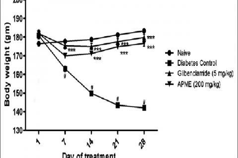 Effect of Abrus precatorius leaves methanolic extract (200 mg/kg) and standard drug glibenclamide (5 mg/kg) on body weight in streptozotocin‑induced diabetes model in rats (Data were analyzed by two‑way analysis of variance followed by Bonferroni test (n = 6); #P < 0.001 as compared to naive animals, ***P < 0.001 as compared to diabetes control group at respective time points)