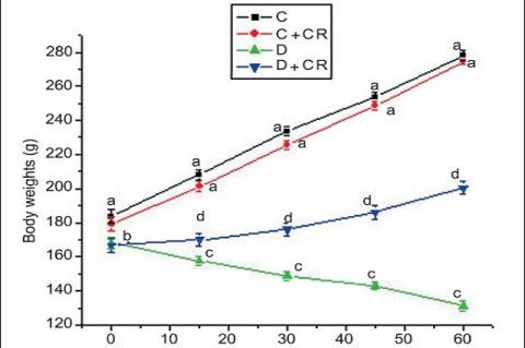 Mean body weight of C, C + CR, D, and D + CR groups during the experimental period