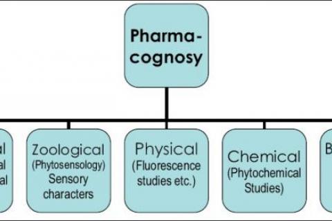 Different parameters used in Pharmacognosy