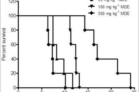 C57BL/6 mice (25-30 g) were pre-treated for 1 h with MDE 30-300 mg kg-1. Compound 48/80 was injected (10 mg kg-1, i.p.) and mortality monitored for 1 h 