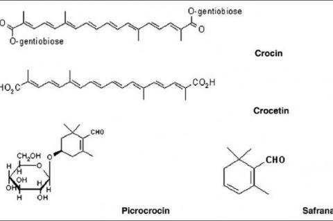 Chemical structures of crocin, crocetin, picrocrocin, and safranal