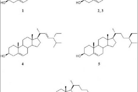 Alpha‑amylase inhibitory activity and sterol composition of the marine algae, Sargassum glaucescens