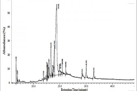 Chromatogram of galactomannan fraction derived from Arenga pinnata fruits by pyrolysis-gas chromatography mass spectrometry 