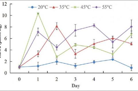 High-temperature Condition Increases Lignanoid Biosynthesis of Schisandra chinensis Seeds via Reactive Oxygen Species