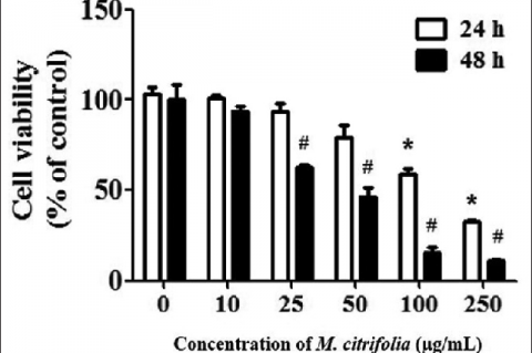 Effect of Morinda citrifolia leaf extract on cancer cell, Michigan cancer foundation‑7, viability