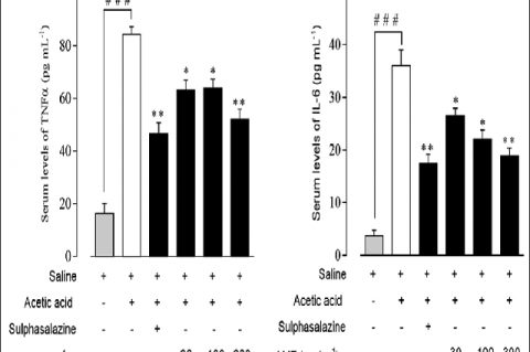 Effect of Antrocaryon micraster extract on serum levels of Tumor necrosis factor alpha and IL‑6