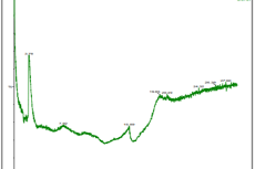 Mass Chromatogram of CS hydroethanolic extract.